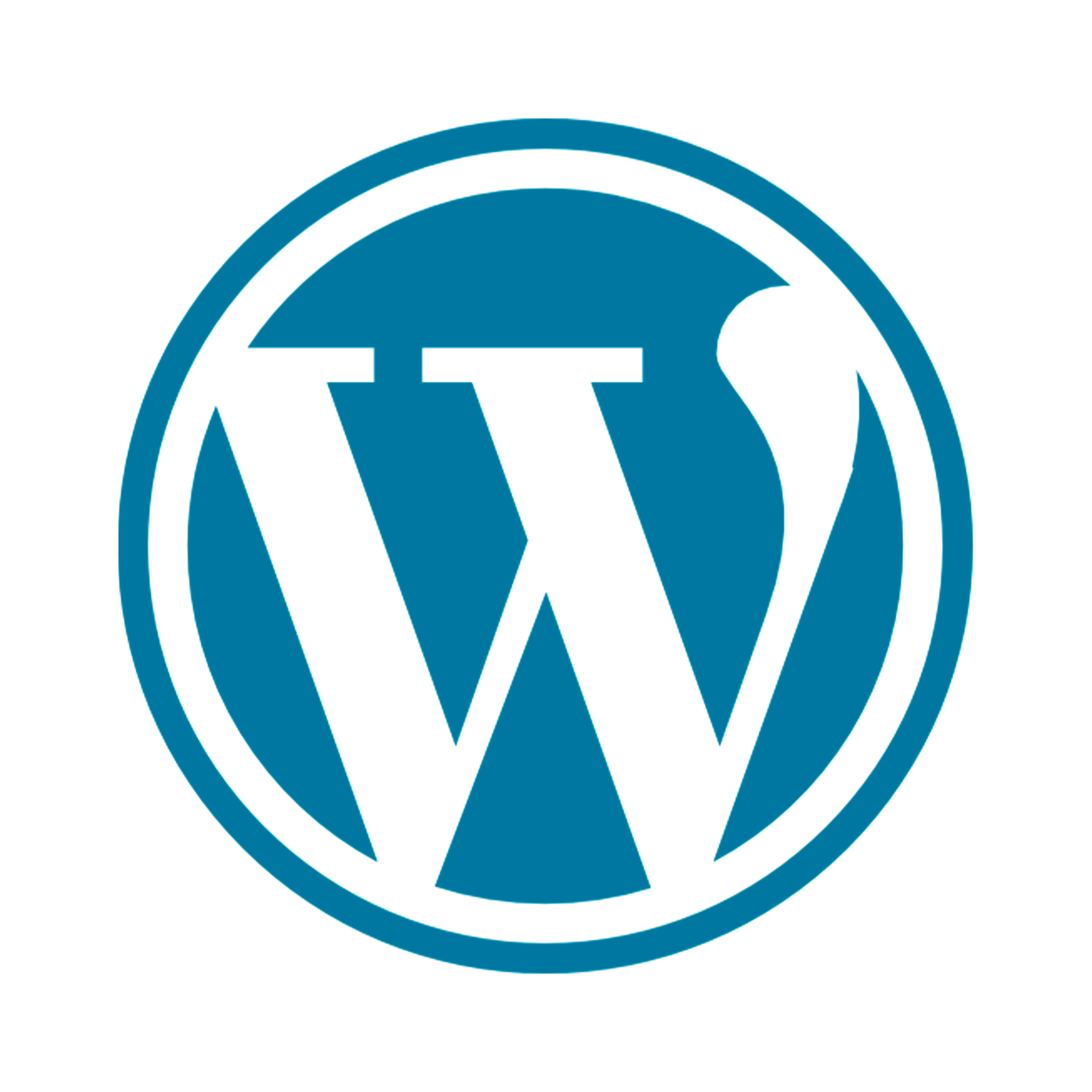 Wordpress